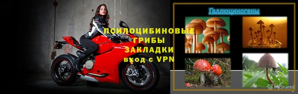 винт Алзамай