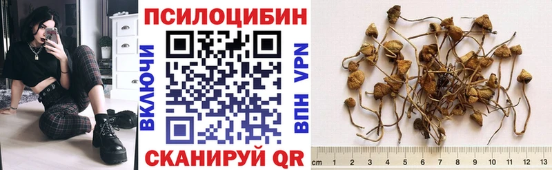 Псилоцибиновые грибы MAGIC MUSHROOMS  Хвалынск 